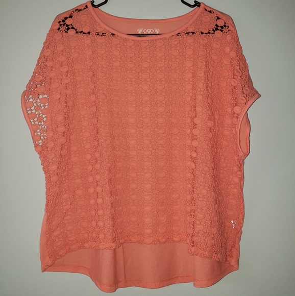 Cato Tops - Cato Peach Lacey Top Size 22/24W